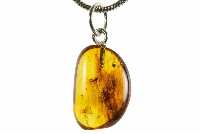Polished Baltic Amber Pendant (Necklace) - Contains Fly! #339570